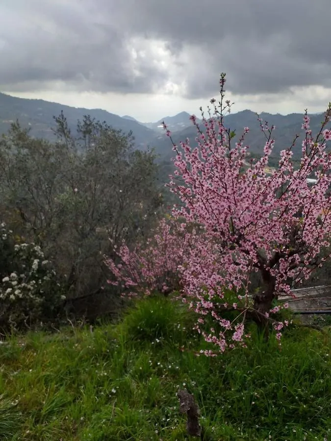Il Piccolo Giardino Villa Perinaldo 0*,